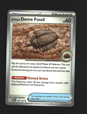 Antique Dome Fossil