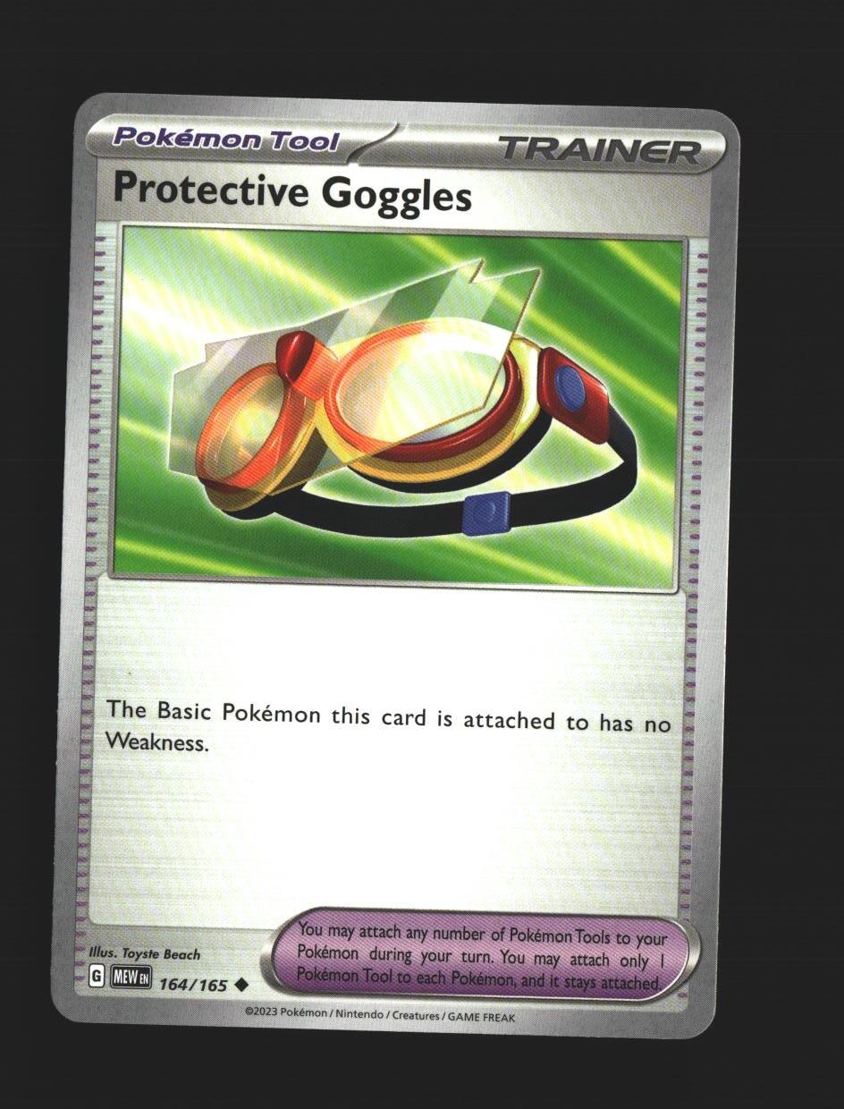 Protective Goggles
