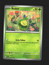 Budew