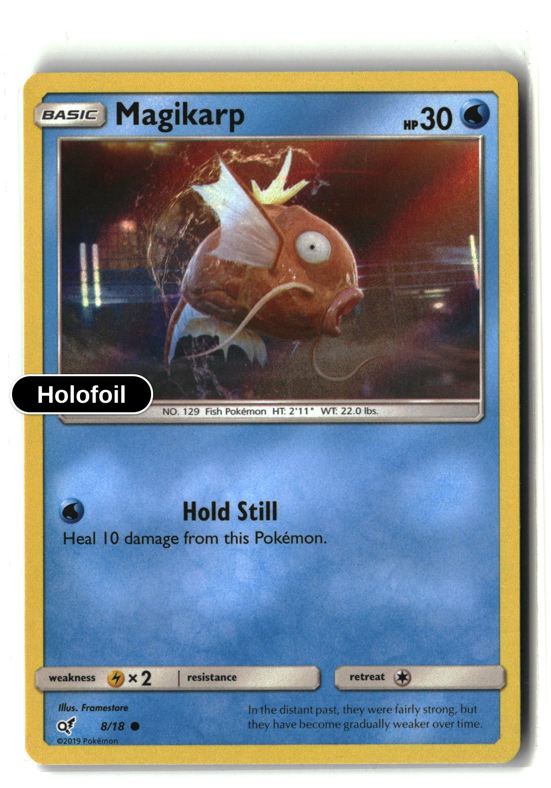 Magikarp (Holo Common)
