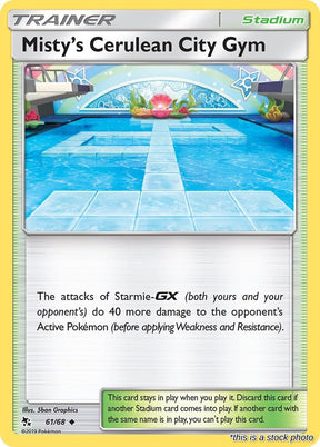 Misty's Cerulean City Gym