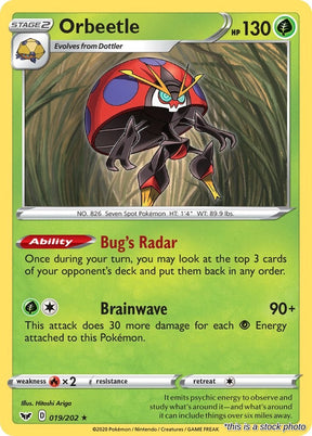 Orbeetle