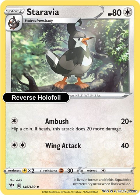 Staravia - 146/189 - [SWSH03 - SWSH03: Darkness Ablaze] - Reverse Holofoil