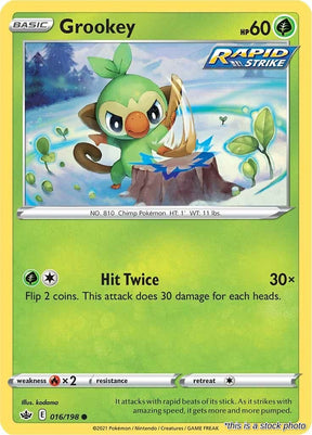 Grookey - 016/198 - [SWSH06 - SWSH06: Chilling Reign]