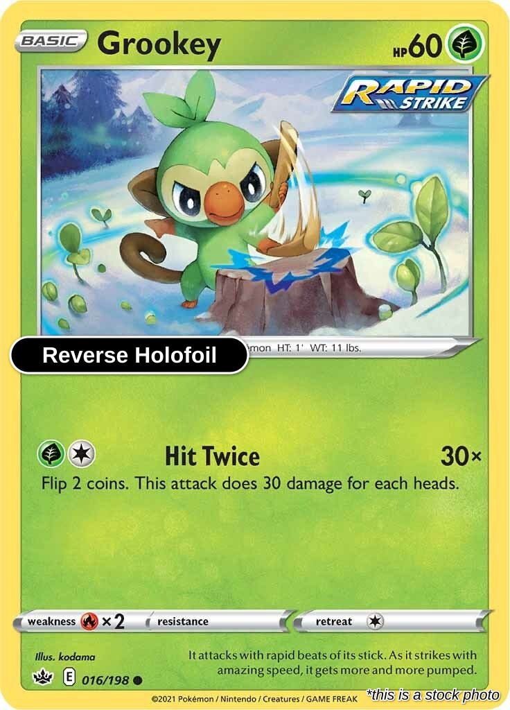 Grookey - 016/198 - [SWSH06 - SWSH06: Chilling Reign] - Reverse Holofoil