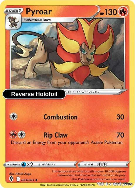 Pyroar - 023/203 - [SWSH07 - SWSH07: Evolving Skies] - Reverse Holofoil