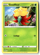 Gossifleur
