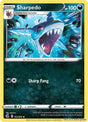 Sharpedo