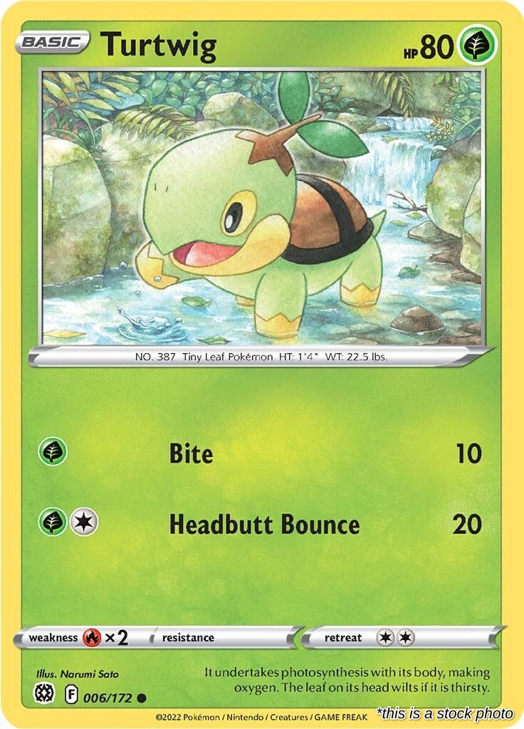Turtwig