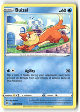 Buizel