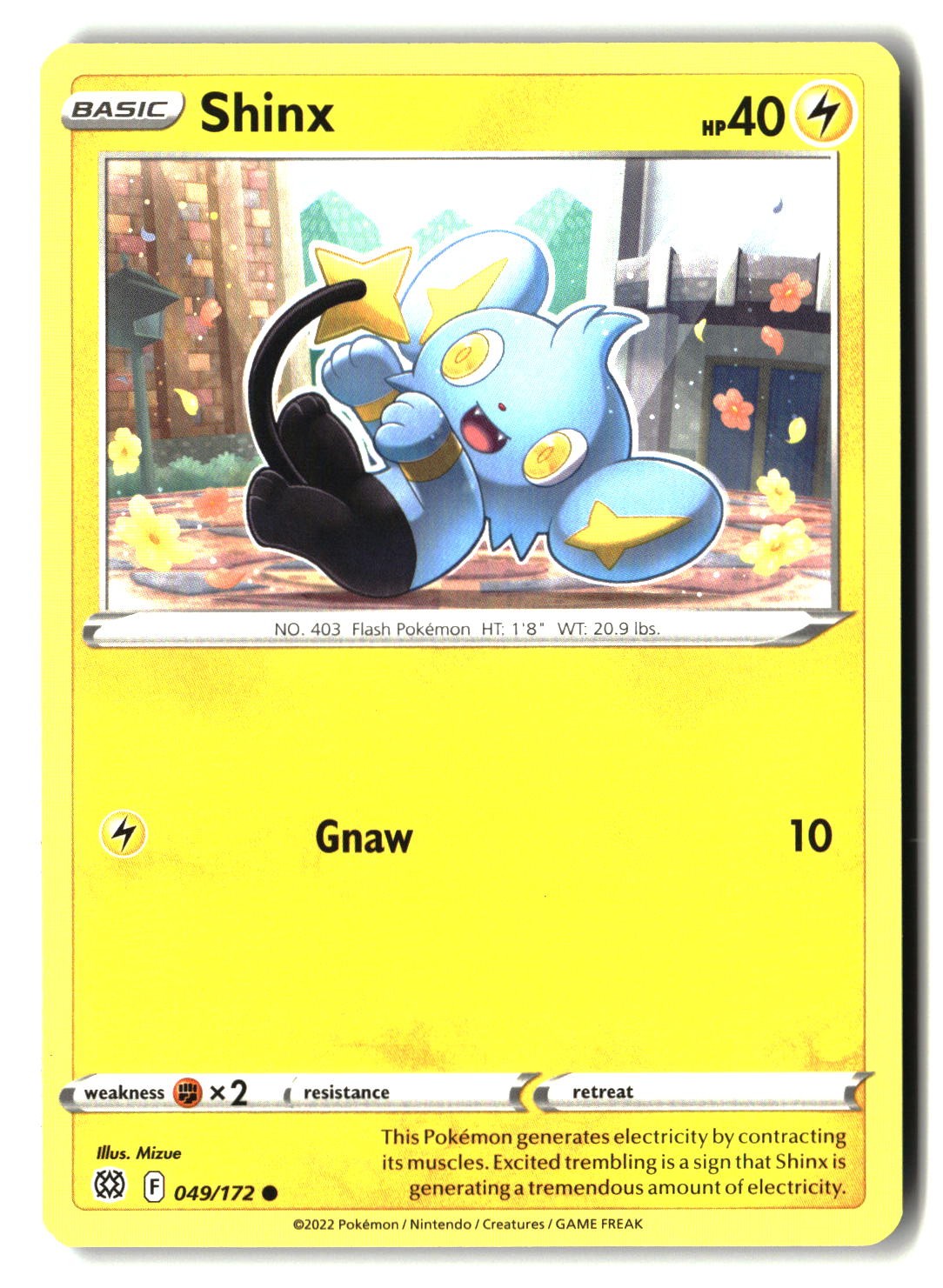 Shinx - 049/172 - [SWSH09 - SWSH09: Brilliant Stars]