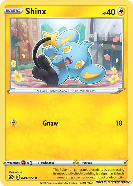 Shinx - 049/172 - [SWSH09 - SWSH09: Brilliant Stars]