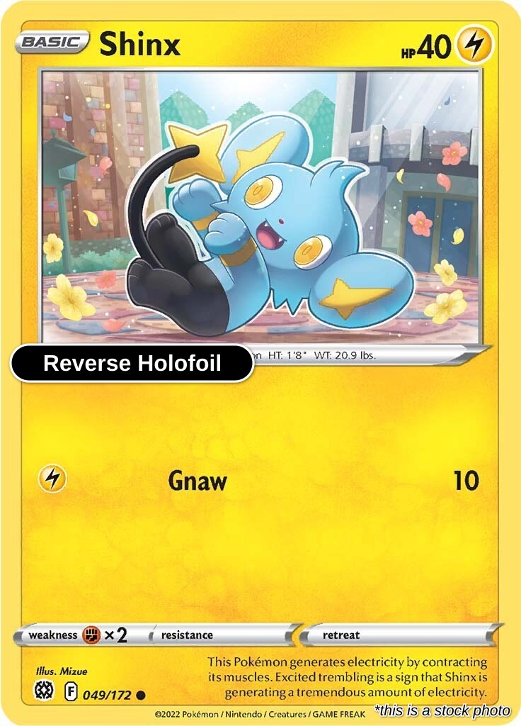 Shinx - 049/172 - [SWSH09 - SWSH09: Brilliant Stars] - Reverse Holofoil