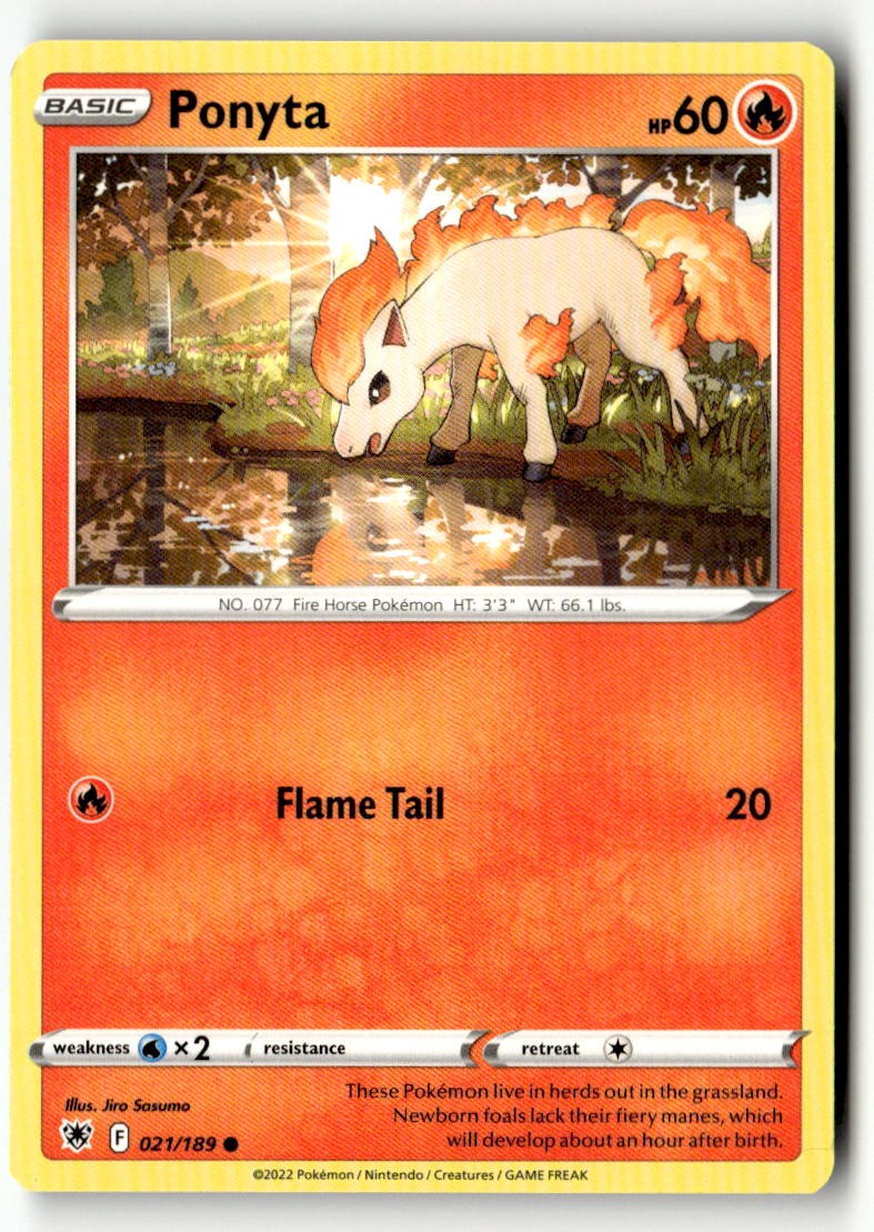 Ponyta