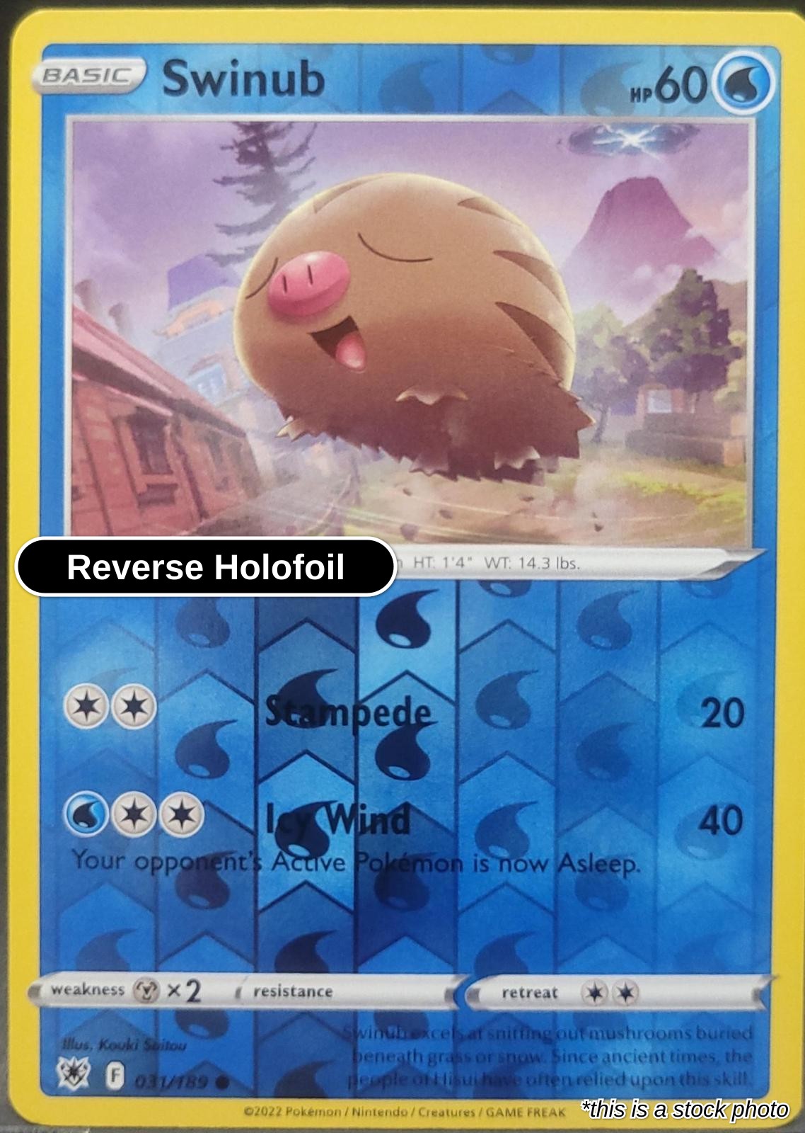 Swinub - 031/189 - [SWSH10 - SWSH10: Astral Radiance] - Reverse Holofoil