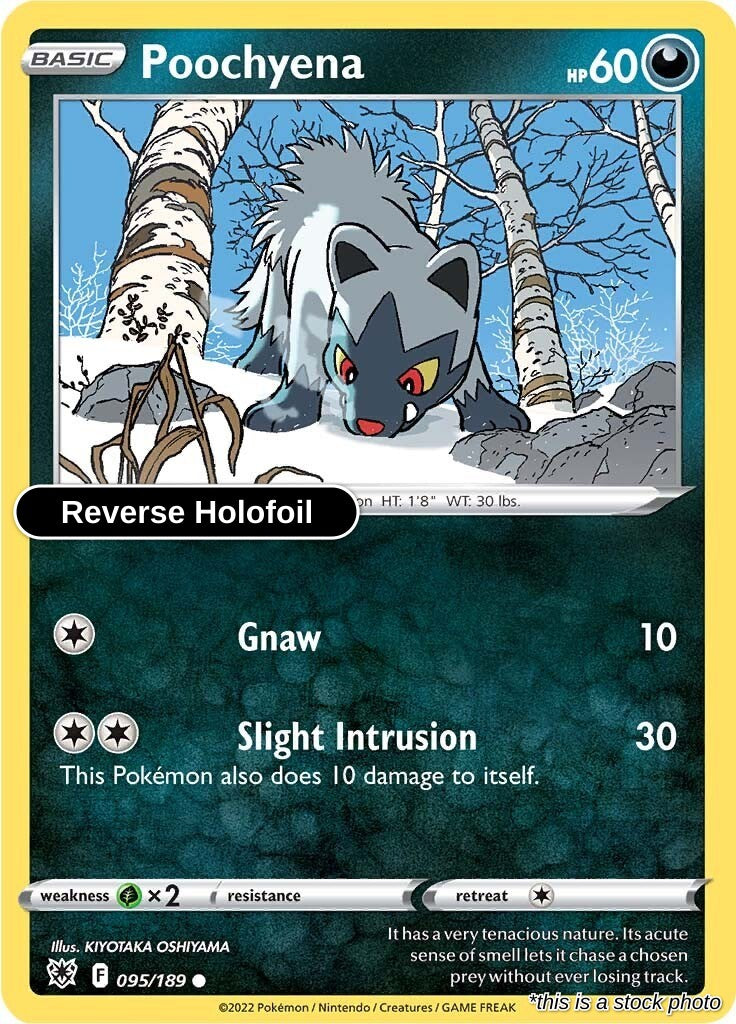 Poochyena - 095/189 - [SWSH10 - SWSH10: Astral Radiance] - Reverse Holofoil