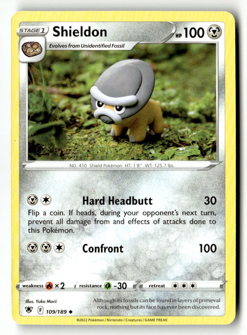 Shieldon