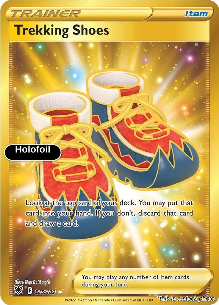 Trekking Shoes (Secret)