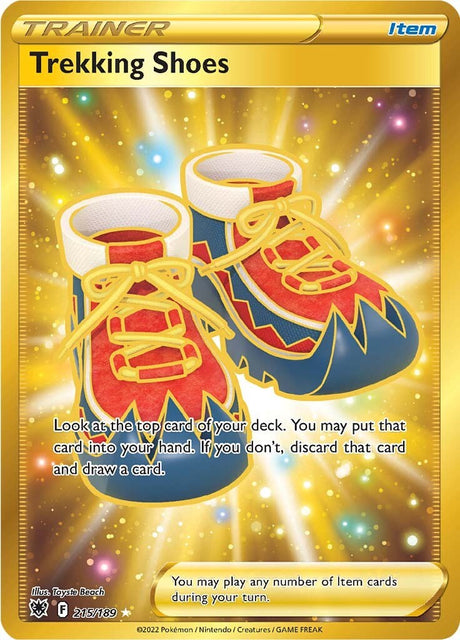 Trekking Shoes (Secret)