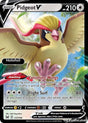 Pidgeot V