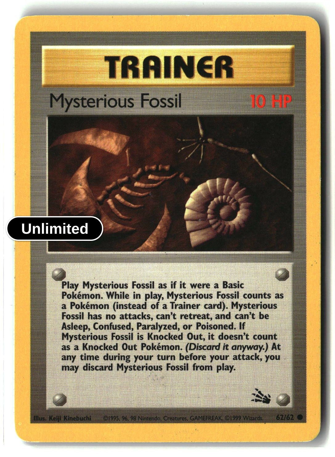 Mysterious Fossil