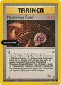 Mysterious Fossil