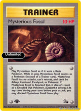 Mysterious Fossil