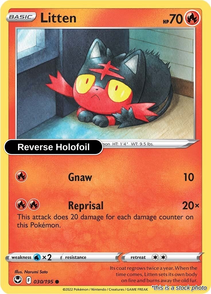 Litten - 030/195 - [SWSH12 - SWSH12: Silver Tempest] - Reverse Holofoil
