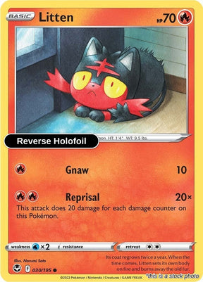 Litten - 030/195 - [SWSH12 - SWSH12: Silver Tempest] - Reverse Holofoil
