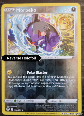 Morpeko - 116/195 - [SWSH12 - SWSH12: Silver Tempest] - Reverse Holofoil