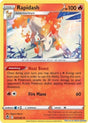 Rapidash - 022/195