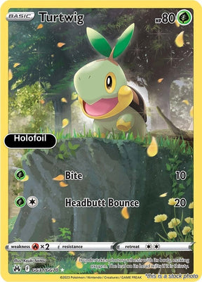 Turtwig