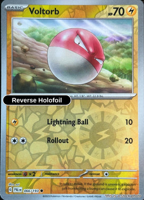 Voltorb - 066/193 - [PAL - SV02: Paldea Evolved] - Reverse Holofoil