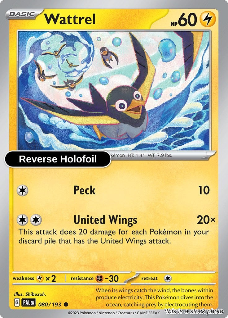 Wattrel - 080/193 - [PAL - SV02: Paldea Evolved] - Reverse Holofoil