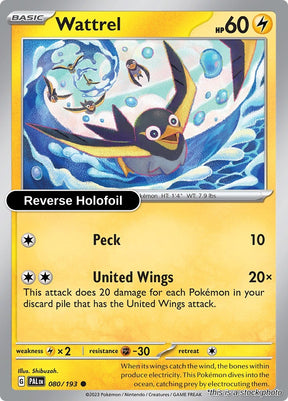 Wattrel - 080/193 - [PAL - SV02: Paldea Evolved] - Reverse Holofoil