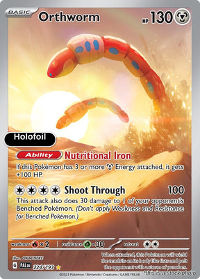 Orthworm - 224/193