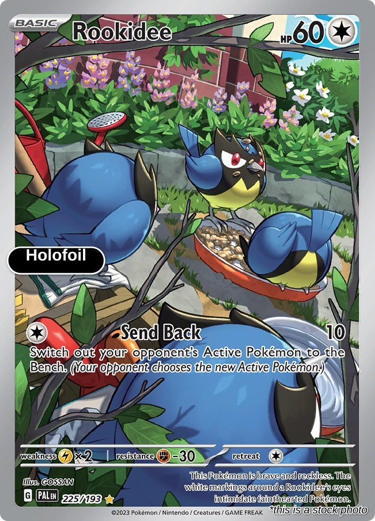 Rookidee - 225/193