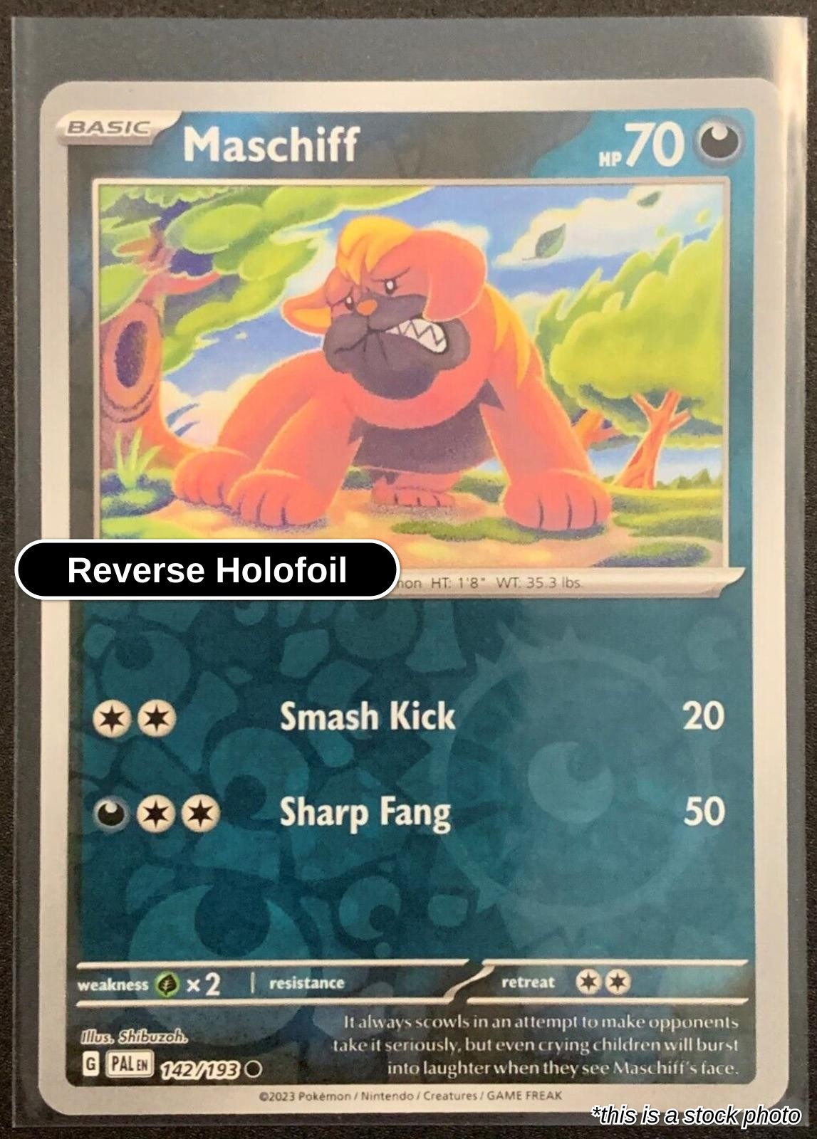 Maschiff - 142/193 - [PAL - SV02: Paldea Evolved] - Reverse Holofoil