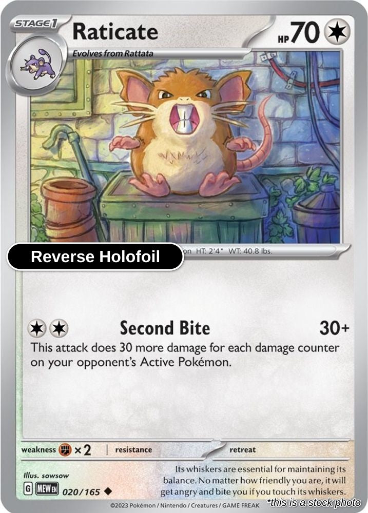 Raticate - 020/165 - [MEW - SV: Scarlet & Violet 151] - Reverse Holofoil