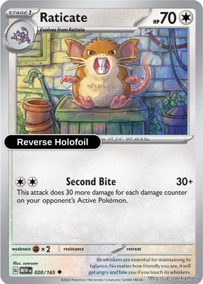 Raticate - 020/165 - [MEW - SV: Scarlet & Violet 151] - Reverse Holofoil