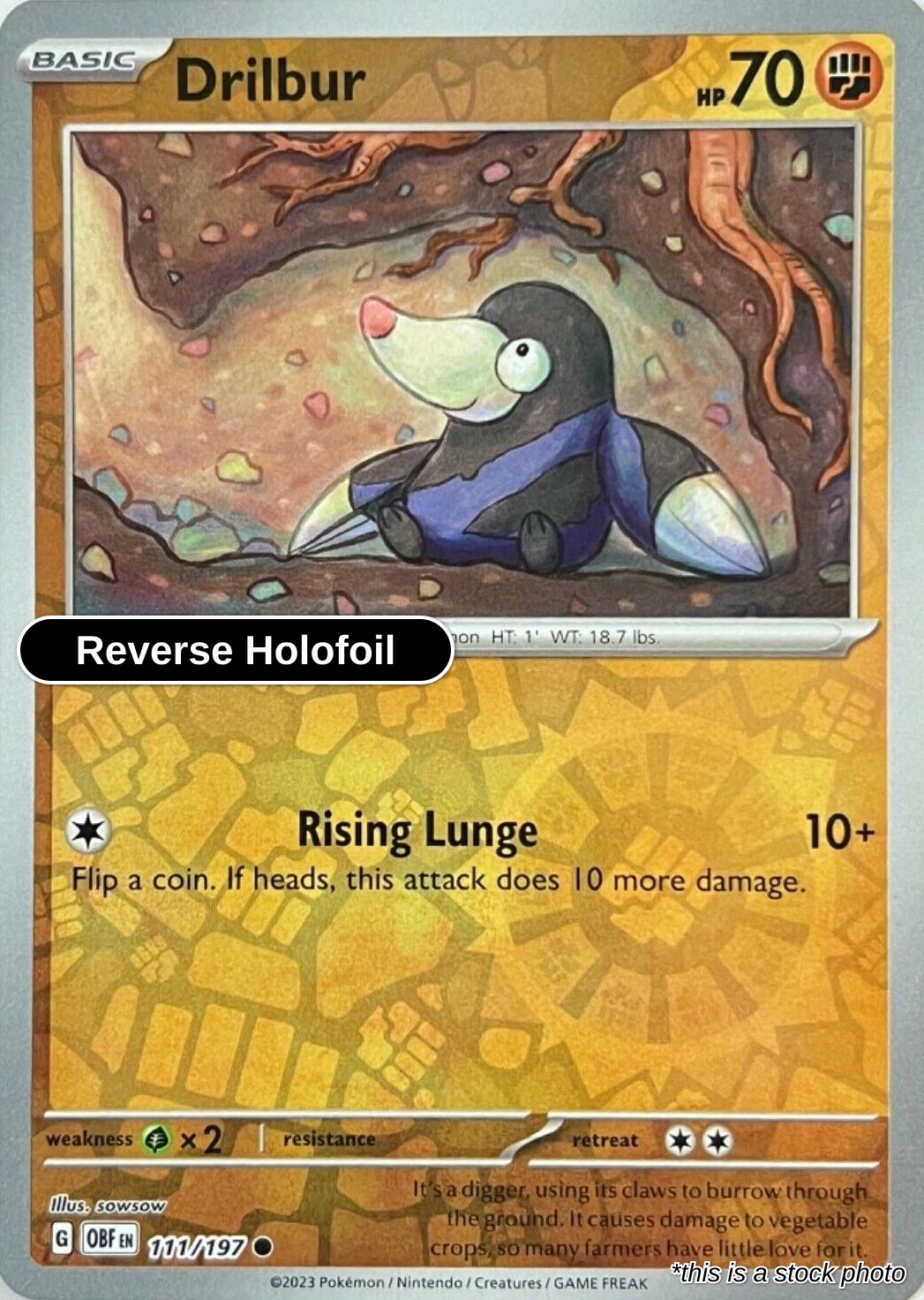 Drilbur - 111/197 - [OBF - SV03: Obsidian Flames] - Reverse Holofoil