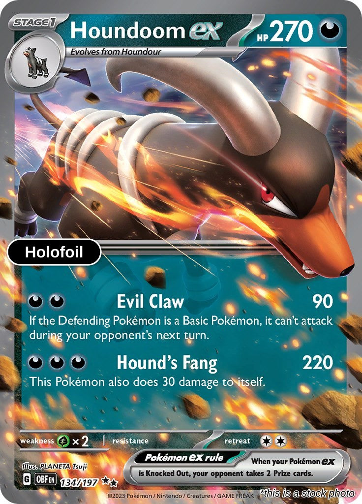 Houndoom ex