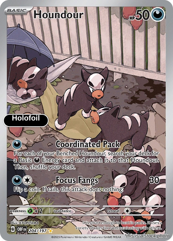 Houndour - 204/197