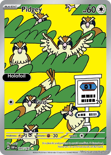 Pidgey - 207/197