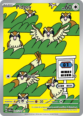 Pidgey - 207/197