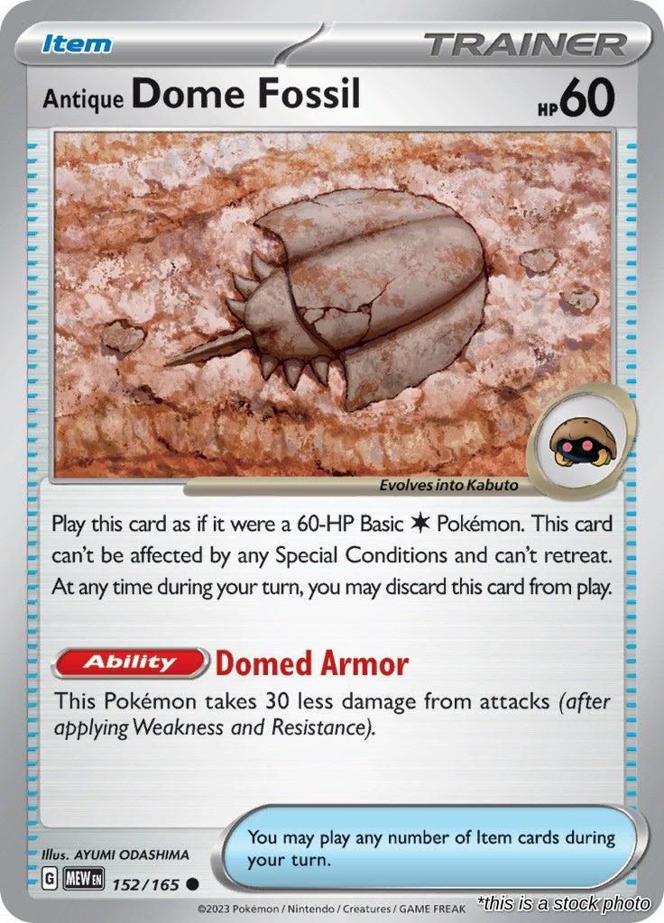 Antique Dome Fossil