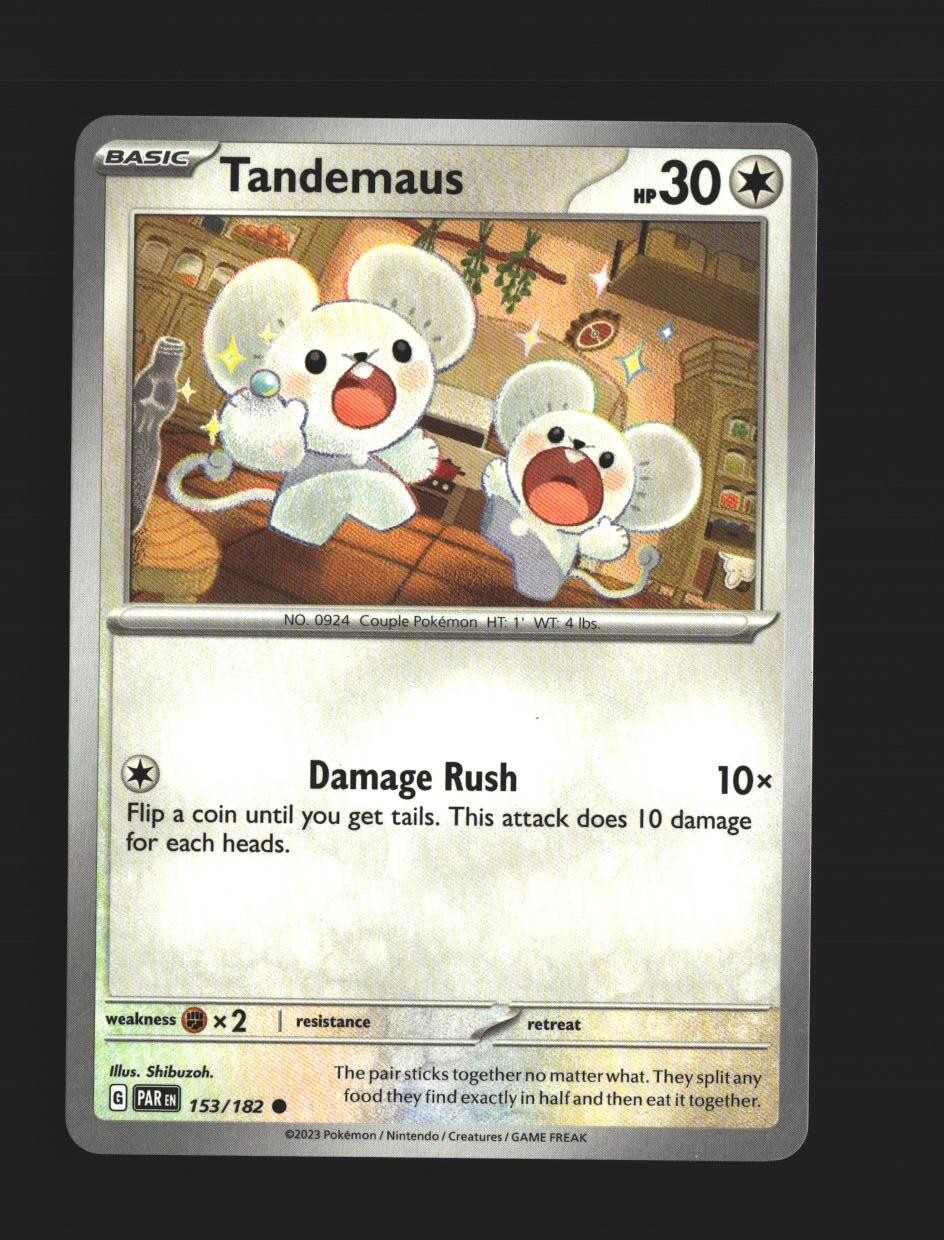 Tandemaus - 153/182
