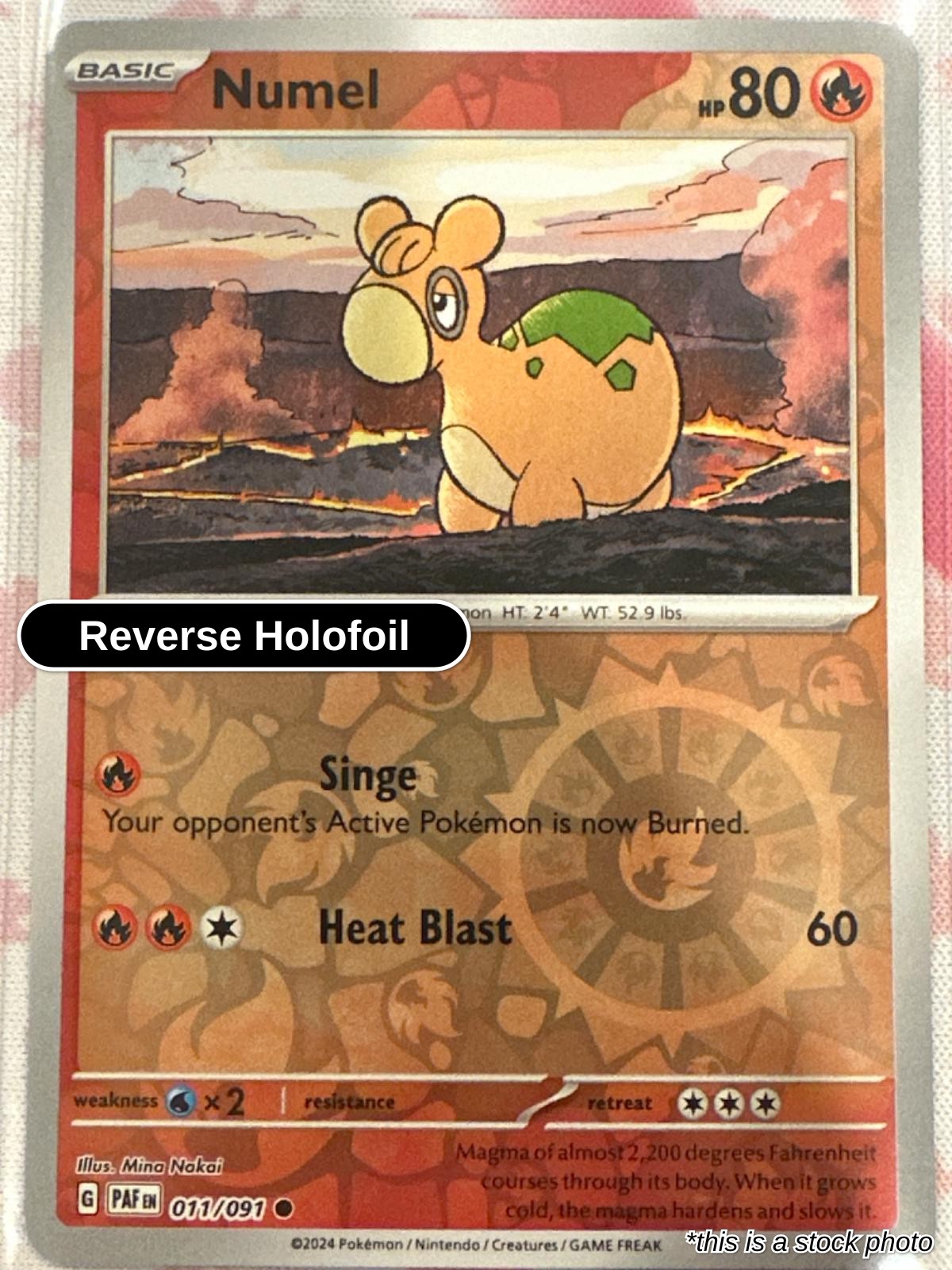 Numel - 011/091 - [PAF - SV: Paldean Fates] - Reverse Holofoil