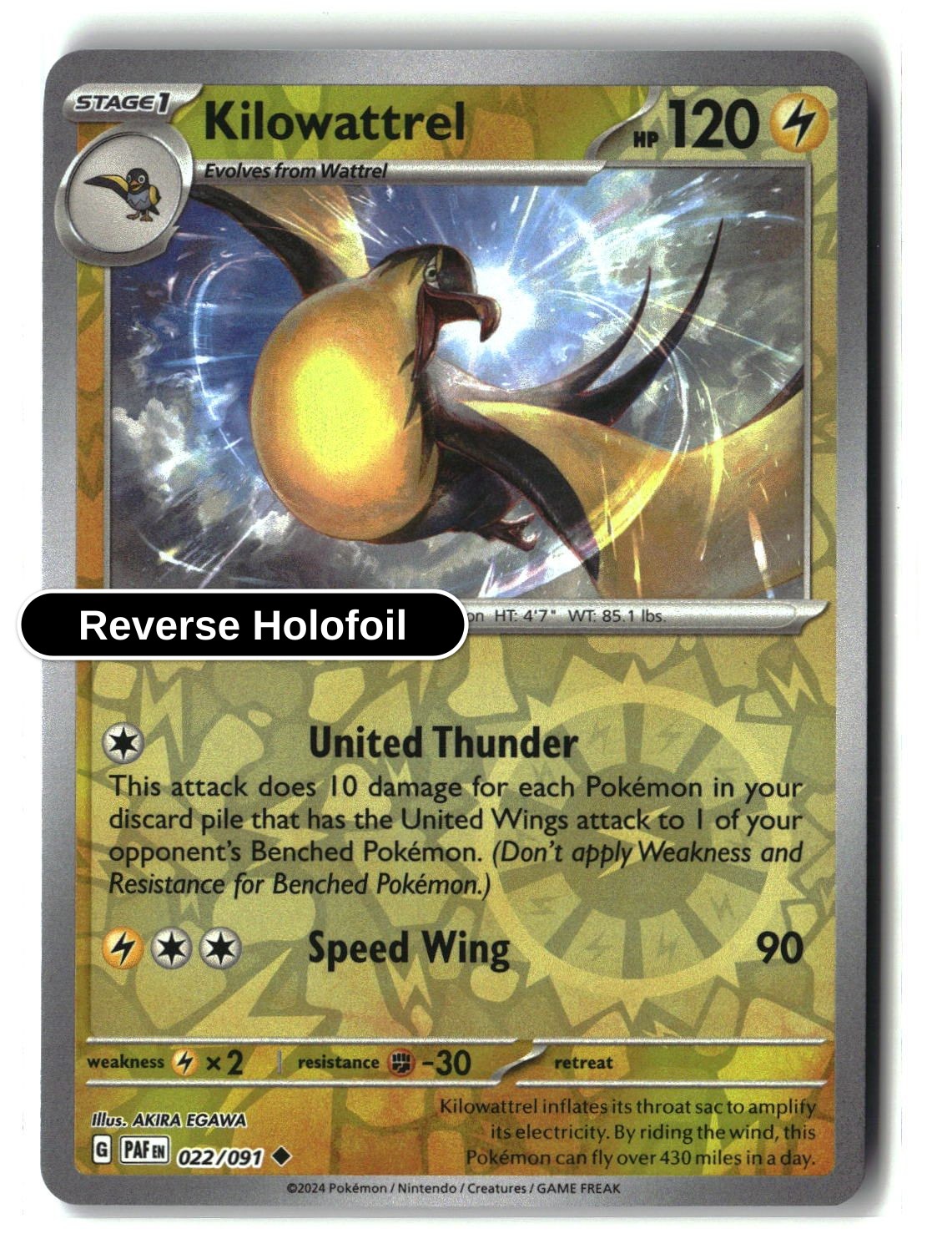 Kilowattrel - 022/091 - [PAF - SV: Paldean Fates] - Reverse Holofoil