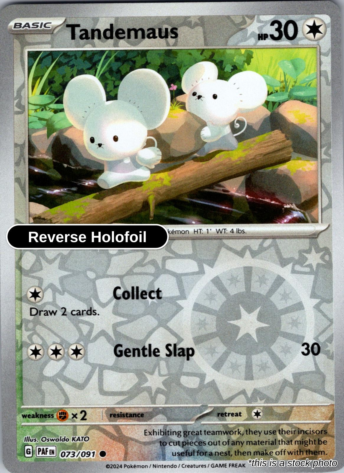 Tandemaus - 073/091 - [PAF - SV: Paldean Fates] - Reverse Holofoil